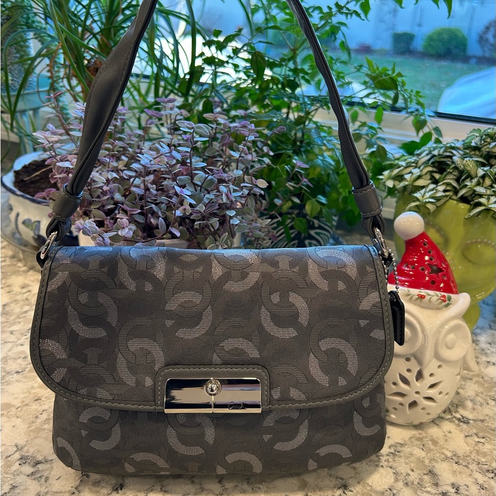 Coach Gray/Silver Handbag